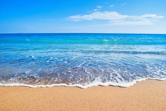 We’re Taking a Short Holiday Break!